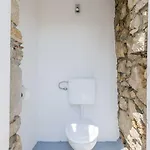Lichtdurchflutete Mit Alpaka-ranch In Der Naehe, Privatpool, Grillbereich, Waschmaschine